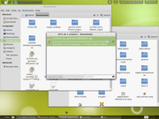 Gnome Linux Mint Levissimo 